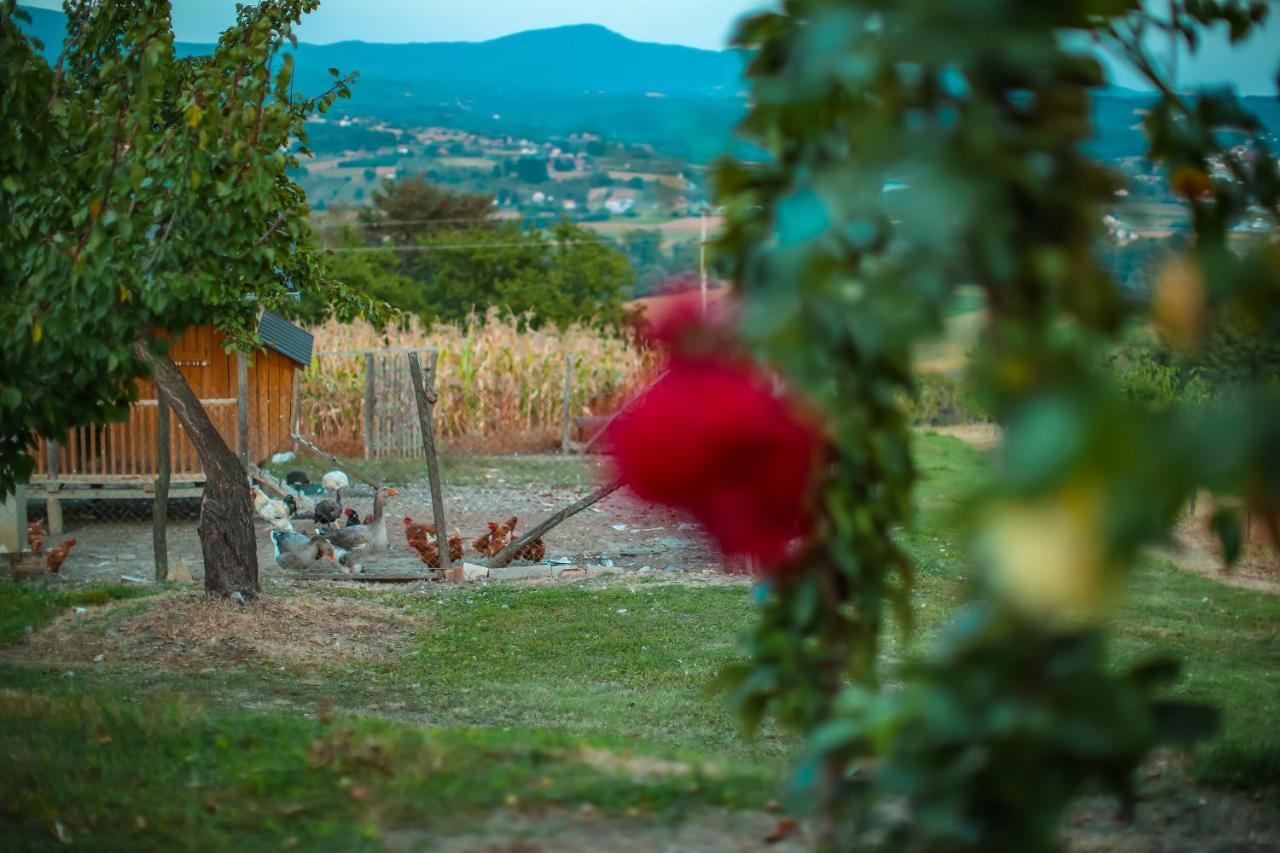 Seosko Turisticko Domacinstvo Radivojevic Villa Čačak Exterior foto